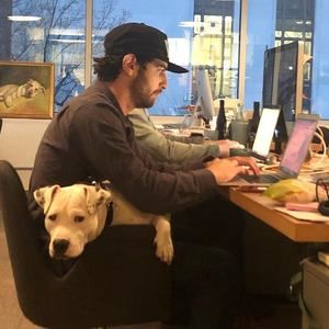 Meet your Posher, Matt